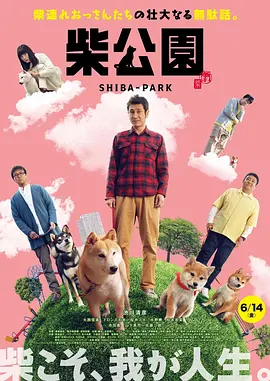 淄博人设