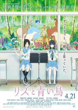姐姐的11月