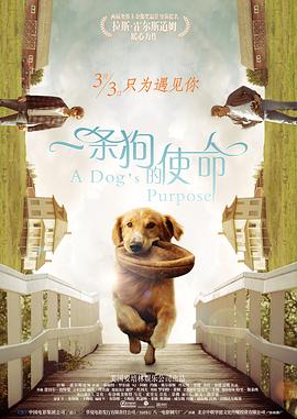 国产成人在线免费