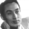 国产20页